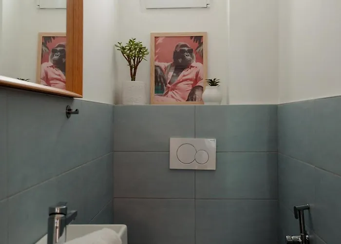 Il Vate Adriatico Daire *